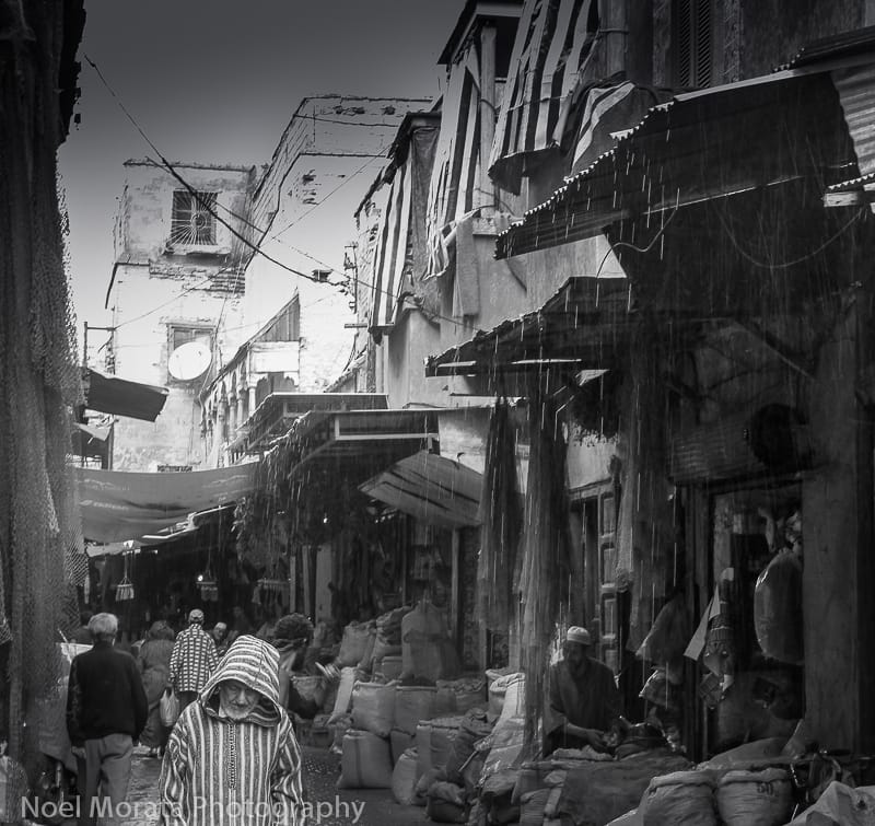 Maison de la Photographie