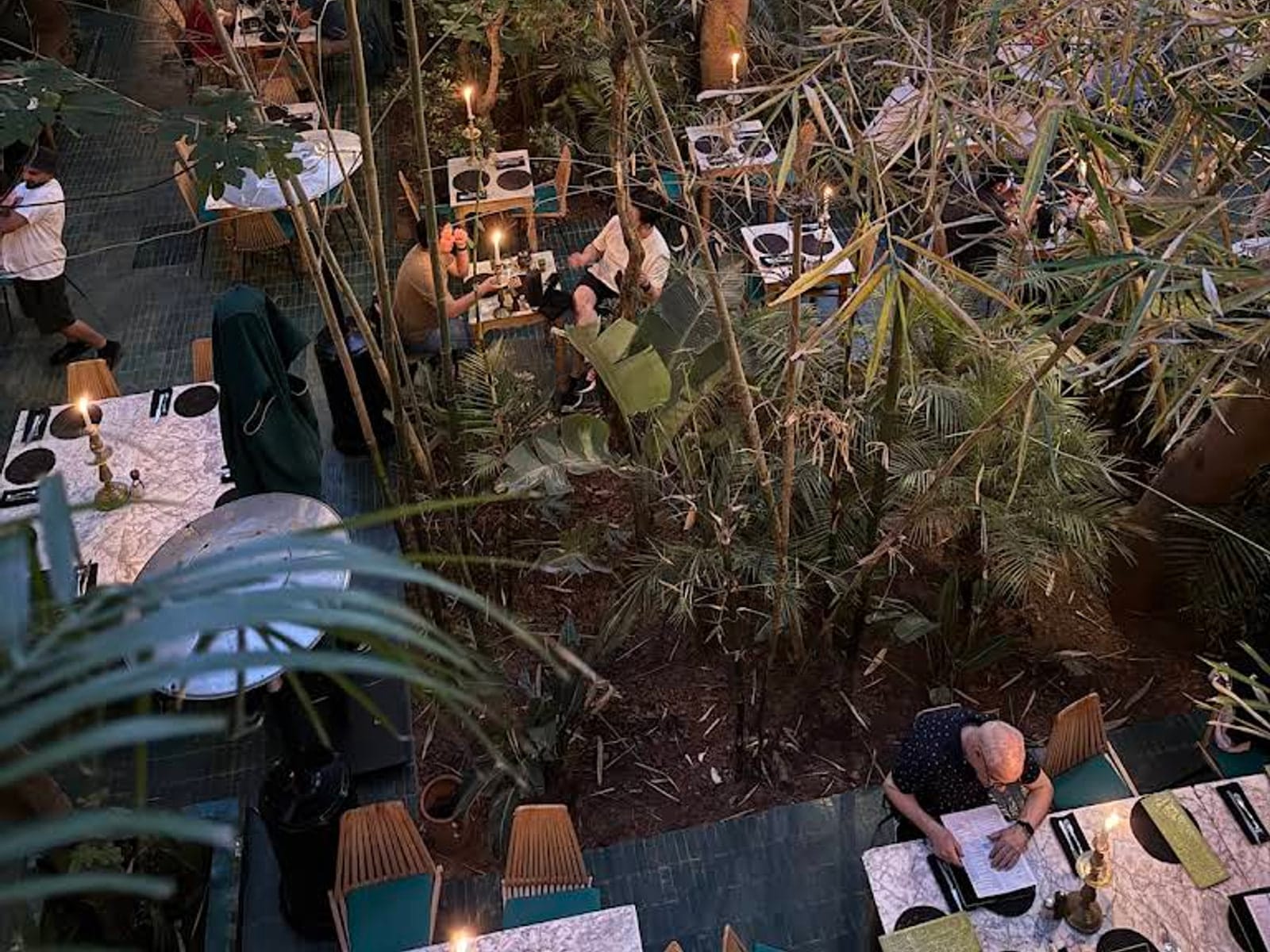 Tables set among banana palms in the shaded green courtyard of Le Jardin, Marrakech
